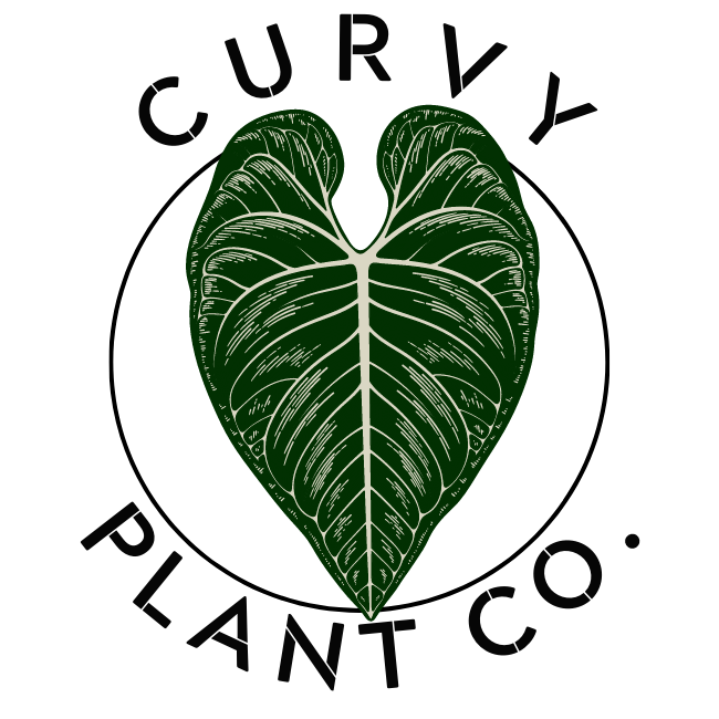 Curvy Plant Co.